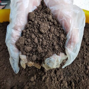 Đất thịt trồng cây